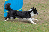 IMG_4676_1800