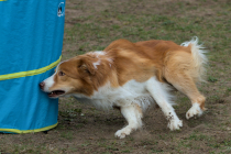 IMG_4744_1800