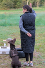 IMG_6339_1800