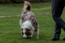 IMG_6348_1800