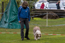 IMG_6356_1800