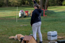 IMG_6373_1800