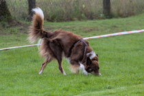 IMG_6424_1800