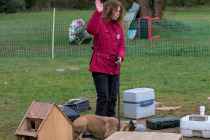 IMG_6458_1800