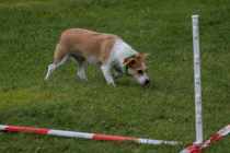 IMG_6482_1800