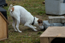 IMG_6495_1800