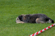 IMG_6561_1800