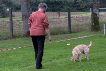 IMG_6629_1800