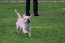 IMG_6642_1800