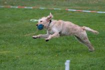 IMG_6644_1800