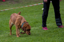 IMG_6706_1800