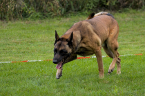 IMG_6806_1800