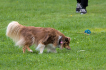 IMG_6825_1800