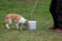 IMG_6904_1800