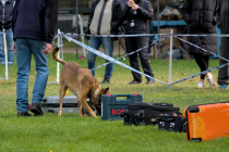 IMG_7065_1800