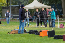 IMG_7069_1800