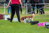 IMG_7102_1800