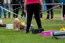 IMG_7105_1800