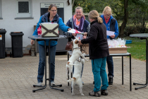 IMG_7127_1800