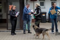 IMG_7152_1800