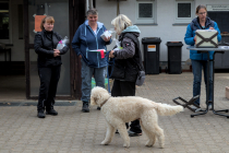 IMG_7156_1800