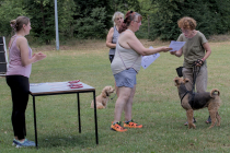 IMG_5600_1800