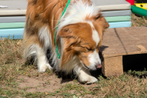 IMG_6087_1800