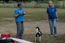 IMG_6139_1800