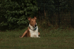 25-IMG_8097-853x1280