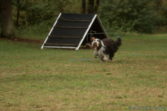 66-IMG_8166-1280x853