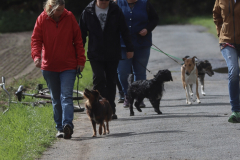 89-IMG_8244-853x1280