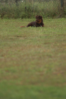 12-IMG_8081-853x1280
