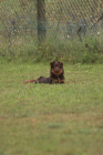 14-IMG_8084-853x1280