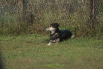 20-IMG_8092-1280x853