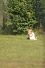 24-IMG_8096-853x1280