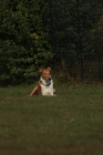 25-IMG_8097-853x1280