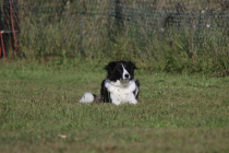 39-IMG_8116-1280x853