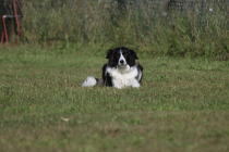 40-IMG_8117-1280x853