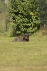 54-IMG_8146-853x1280