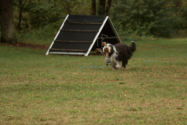 66-IMG_8166-1280x853