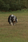 76-IMG_8186-853x1280