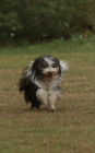 77-IMG_8187-796x1280