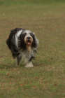 79-IMG_8192-853x1280