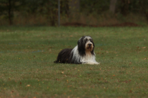 80-IMG_8193-1280x853