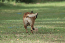 82-IMG_8205-1280x853