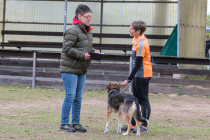 IMG_9355_1800