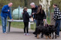 IMG_9533_1800