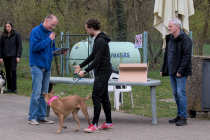 IMG_9540_1800