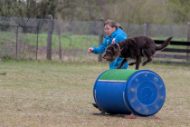IMG_9662_1800