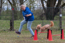 IMG_9682_1800